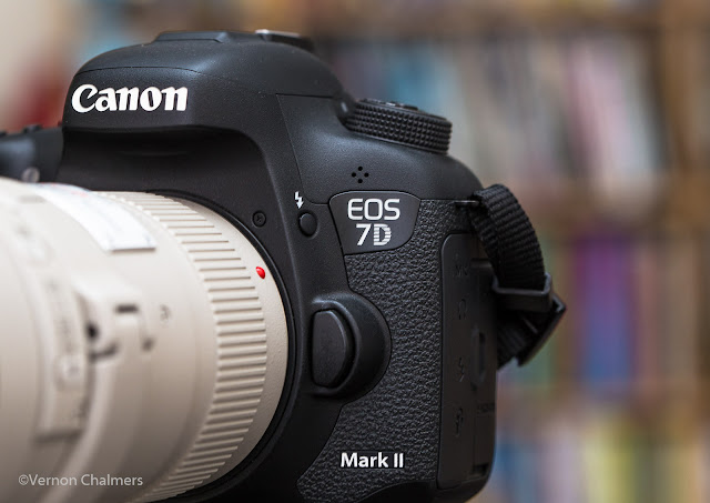 Canon EOS 6D / 100mm Macro Lens / Canon 430 EX II Speedlite Flash (Bounced)