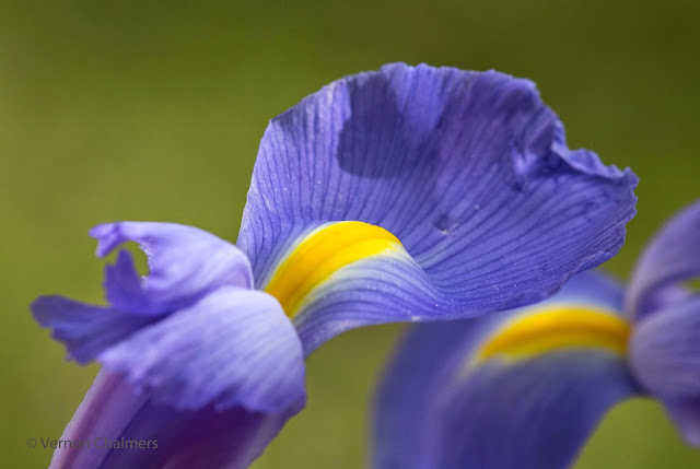Canon Aperture and Depth of Field Samples