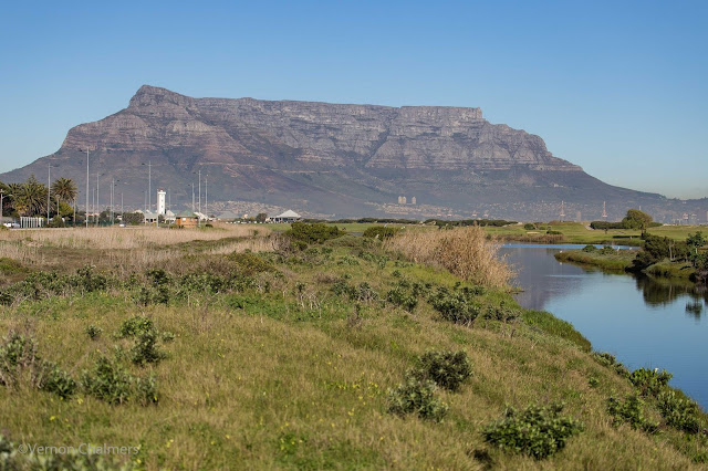 Table Bay Nature Reserve - Table Mountain View