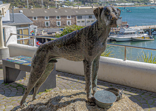 Able Seaman Just Nuisance : Only Dog Officially Enlisted in the Royal Navy Able Seaman Just Nuisance : Only Dog Officially Enlisted in the Royal Navy