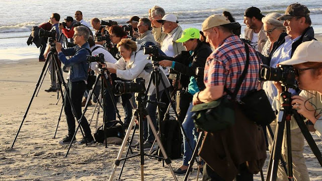 Vernon Chalmers Education and Training : Milnerton Beach, Cape Town