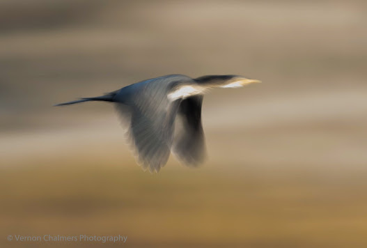 Existential Photo-Creativity : Slow Shutter Speed Abstract Application