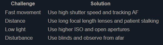 Common Challenges